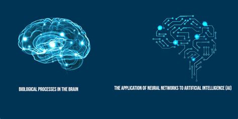 Data Science: What is a Neural Network and How do Neural Networks Work?