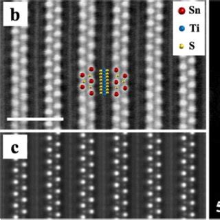 Image result for Phase Contrast Diffraction