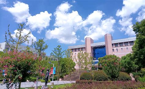 湖南工商大学2022年电子商务专升本考试大纲及参考用书 - 知乎