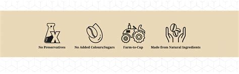 MALABAR Ready-to-use Filter Coffee Decoction – TrueSouth