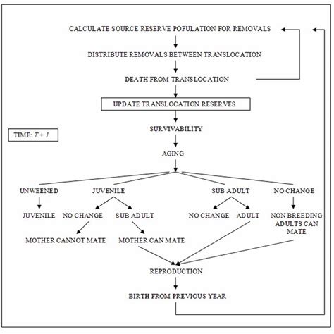 Image result for Process Scheduling Graphical Diagram