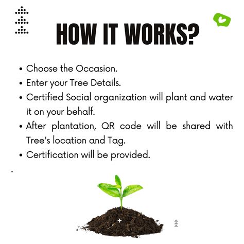 Gift a Tree | Price Starts at Rs 300 | Best Birthday Gifts | Good ...