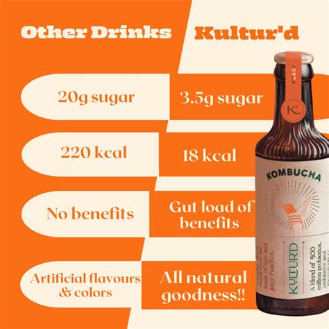 Pack of 24 | Low Sugar Kombucha | Apple cinnamon, Coffee Orange, Peach