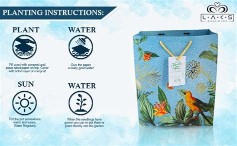 LAKS BUNDLE OF LOVE - Gift bags - Paper Bags - Paper Bags For Return ...