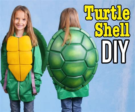 Image result for Turtle Shell Section