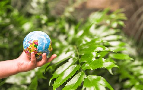 PET Chemical Recycling Process | Solvolysis & Chemolysis Guide
