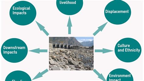 Petition · Not to clear The Unsustainable and anti ecological ...