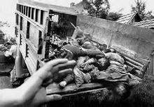 7月11日波黑塞族在斯雷布雷尼察大屠杀：二战后欧洲最惨烈屠杀_凤凰网军事_凤凰网