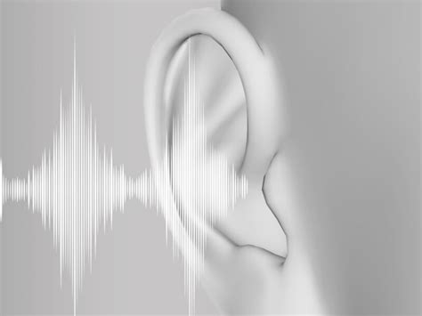 Image result for File ENT