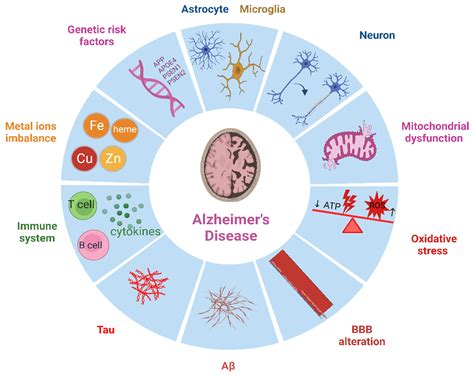 Recent Development in the Understanding of Molecular and Cellular Mechanisms Underlying the ...