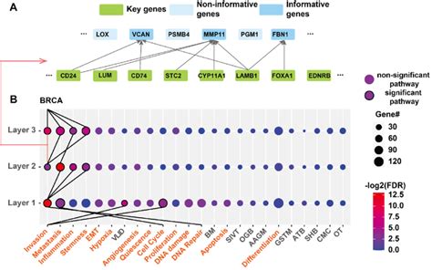Gem Classification Warning 的图像结果