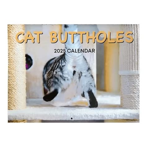 Cats Buttholes Calendar Weird Wall Calendar 2025 Funny Cat Home ...