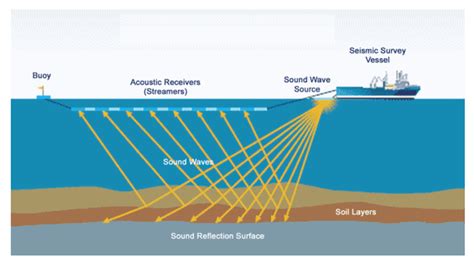 Image result for Oil Extraction Process