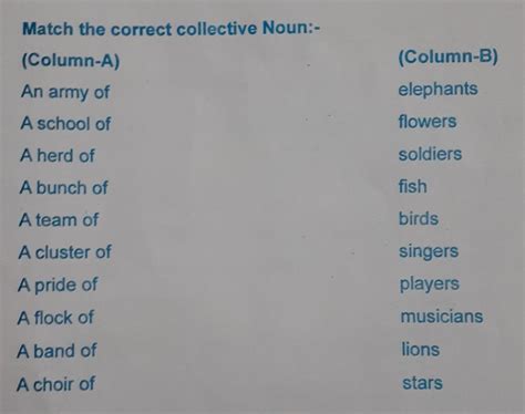 Match the correct collective Noun:- - Brainly.in