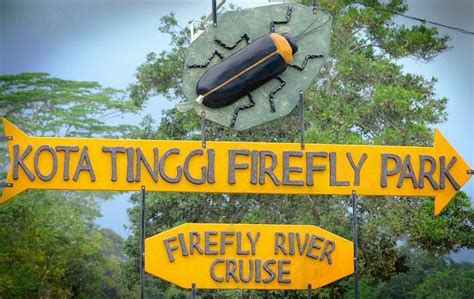 KOTA TINGGI FIREFLY PARK (2026) All You Need to Know BEFORE You Go ...