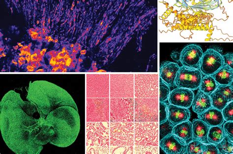 Latest Science. Research 的图像结果