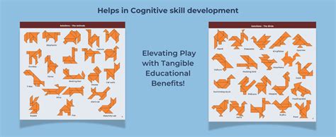 Pelikas Toyz Puzzle Mind Game Kids 7 to 10 Years, Brain Teaser Puzzles ...