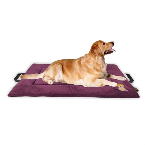 Buy Petter World Orthopedic Memory Foam Base with Cooling Gel Summer ...