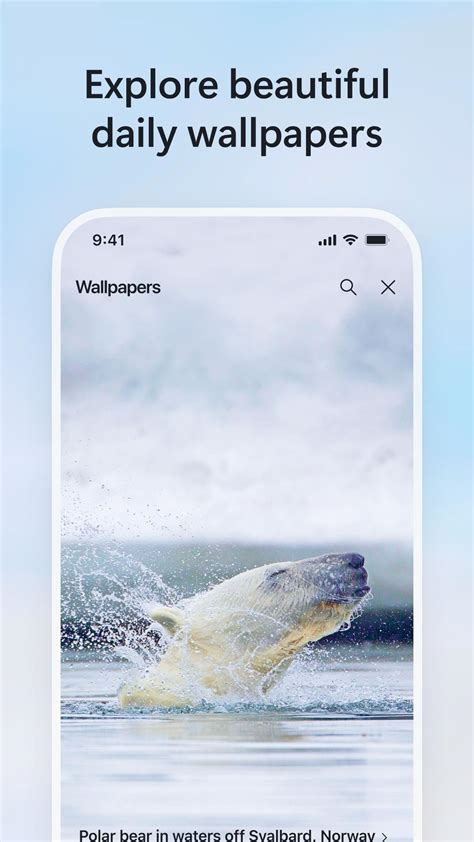 تطبيق Bing 的图像结果