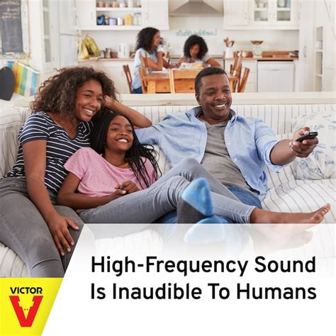 Victor Heavy-Duty Sonic PestChaser Rodent Repellent M792 at Lowes.com