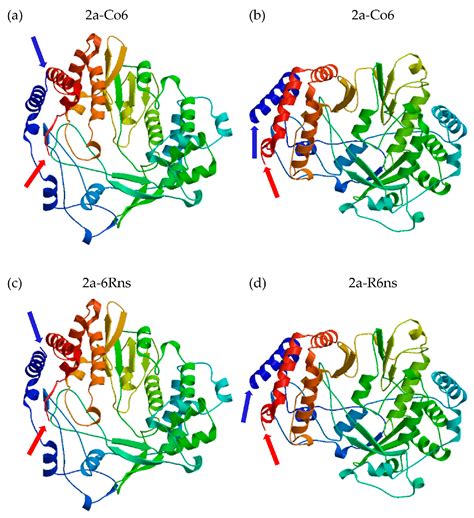 The N-Terminal Region of Cucumber Mosaic Virus 2a Protein Is Involved ...