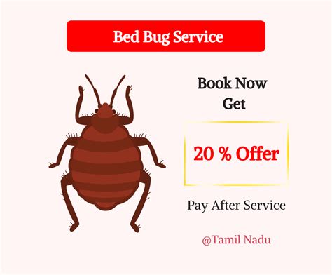 Pest-oo Control Tamilnadu Branch - Termite Control Services in Tamilnadu