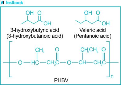 Image result for Biodegradable Polymers Examples