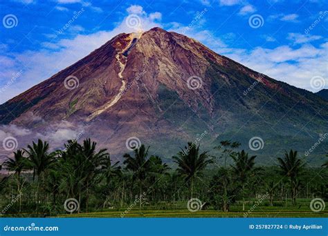 Semeru Java 的图像结果