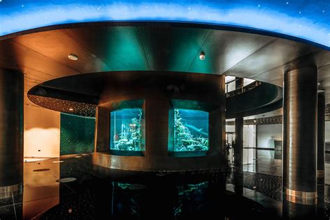 Aquarium DIY Tree Stump 的图像结果