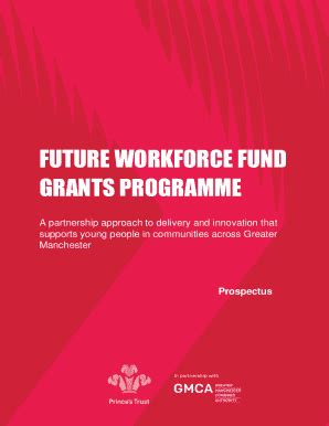 Fillable Online Funding competition Future flight: closing the skills ...