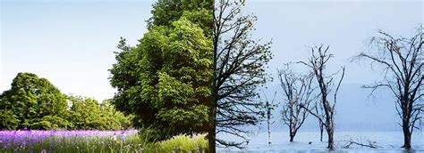 List of Departments in FCRI Hyderabad