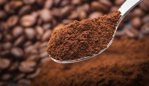 Indian Filter Coffee Powder: Brewing Process and Variations