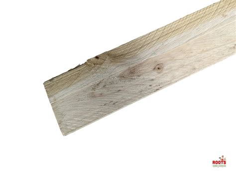 Treated Pine Fence Palings 100 x 12 1.8m | Roots Outdoor Timber