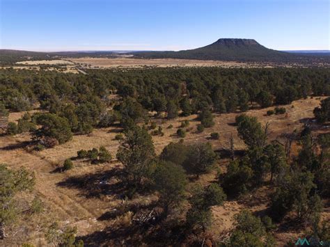 5 acres in San Miguel County, New Mexico