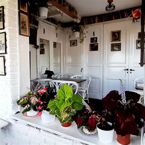 THE BEST Italian Restaurants in Santa Clara del Mar (Updated 2026)