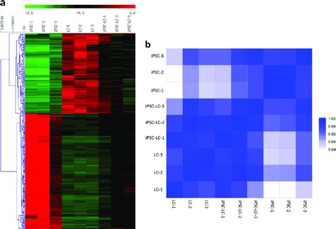 Image result for Python Heatmap RNA-Seq