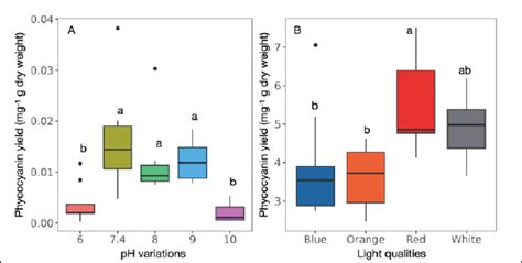 Optimizing cultivation conditions for enhanced productivity Limnothrix ...