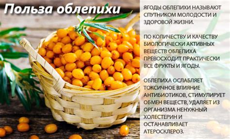 Облепиха - калорийность, полезные свойства, польза и вред, описание ...