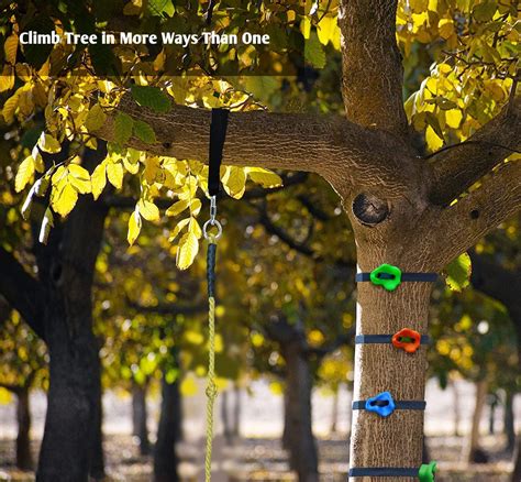 Artoflifer Junior Ninja Tree Climbers Climing Holds for Trees, India | Ubuy