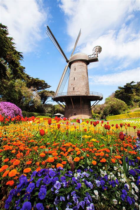 5 Things to Do in San Francisco this Weekend | AMSI Real Estate