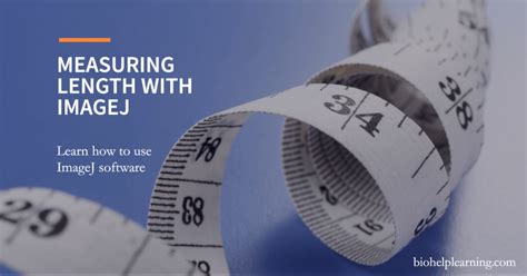 Image result for ImageJ Tutorial Length