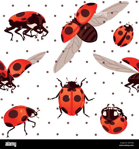 Seamless pattern ladybug with open shell and wings flying beetle ...