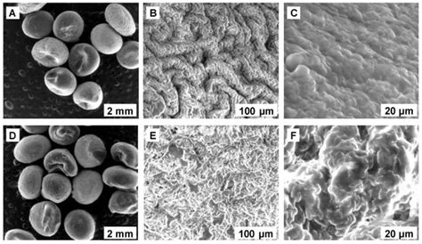 Investigation into Biosorption of Pharmaceuticals from Aqueous ...