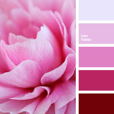 Image result for Warm Raspberry Color