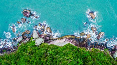 Natural World 的图像结果