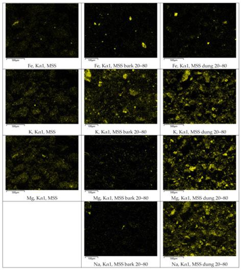 Co-Combustion of Municipal Sewage Sludge and Biomass in a Grate Fired ...