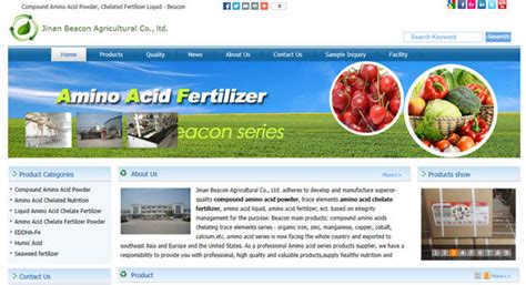 杰欣外贸SOHO网站案例: www.aminoacids-agrochem.com - Google SEO, 谷歌优化公司