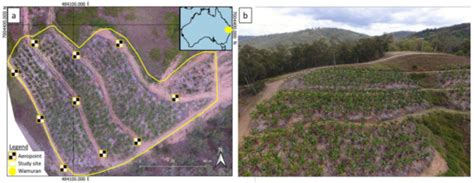 Detection of Banana Plants Using Multi-Temporal Multispectral UAV Imagery