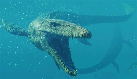 110 best Mosasaurus images on Pholder | Dinosaurs, Naturewasmetal and ...