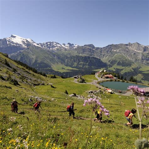 BRUNNI-BAHNEN ENGELBERG (2026) All You Need to Know BEFORE You Go (with ...